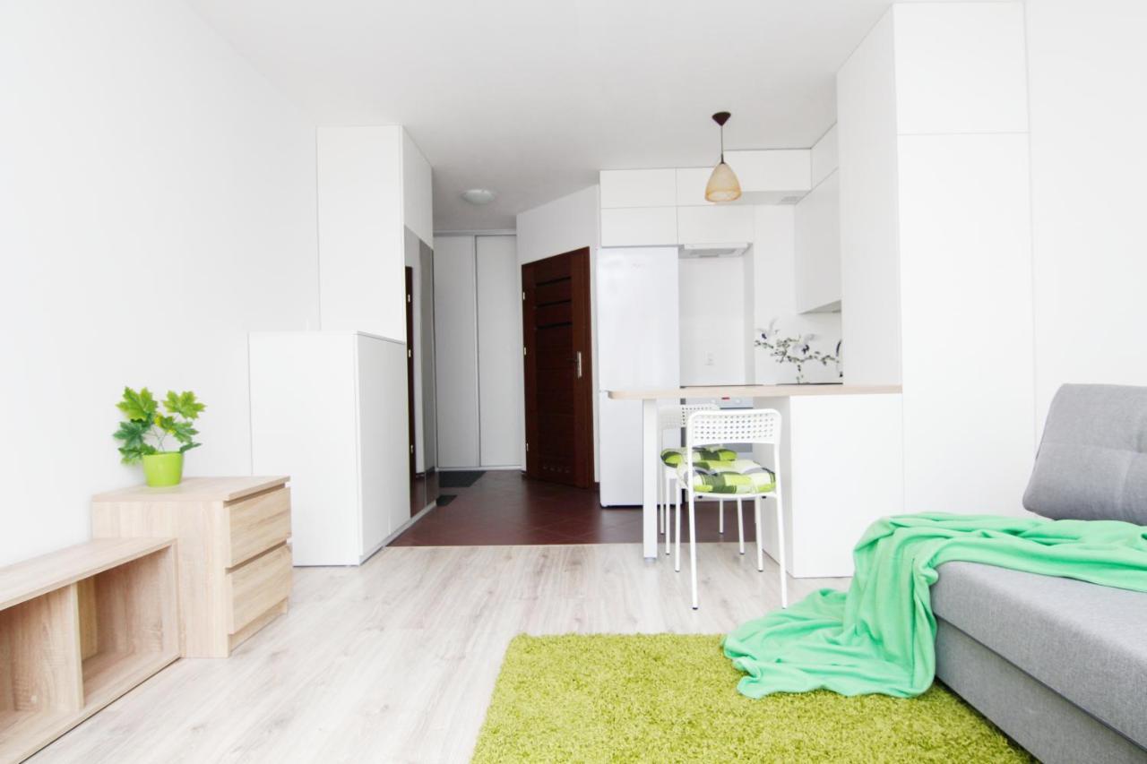 Blue River - Klimasa - Taras - Private Apartment Вроцлав Экстерьер фото
